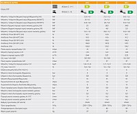 Ferroli Bluehelix Alpha 24C 24kw Επιτοίχιος Λέβητας Συμπύκνωσης Αερίου-Υγραερίου Με Καμινάδα και Ζεστά Νερά Χρήσης COPY